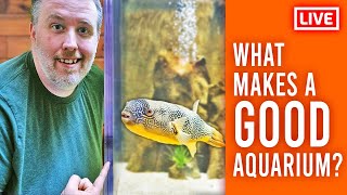 What makes a good aquarium? Live Stream by Aquarium Co-Op