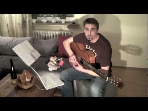 Hansi's Videotagebuch 10.Tag - Gitarre lernen in 30 Tagen