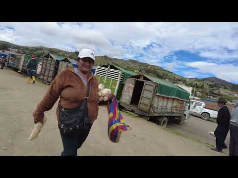 FERIA DE GANADO DESDE LA PROVINCIA DEL CAÑAR ECUADOR DOMINGOS 🏞️
