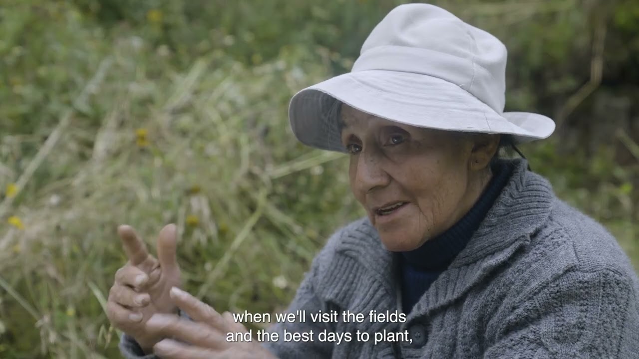 Cultivando el cambio | Testimonios desde Ricrán, Junín
