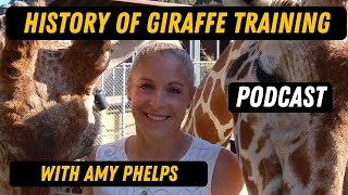 The History of Giraffe Training with Amy Phelps