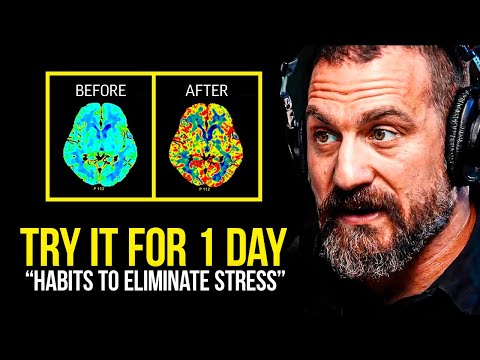 NEUROSCIENTIST: You Will NEVER Be Stressed Again | Andrew Huberman