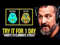 NEUROSCIENTIST: You Will NEVER Be Stressed Again | Andrew Huberman