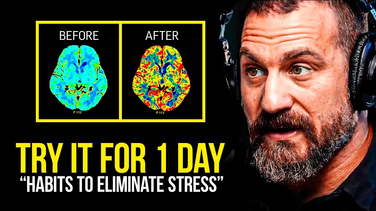 Week 40: You Will NEVER Be Stressed Again | Andrew Huberman