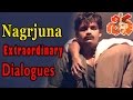 Shiva Movie Nagarjuna Extraordinary Dialogues Nagarjuna Amala