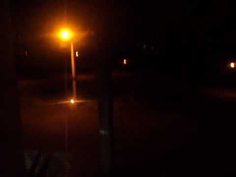 Discípulos de Bin Laden