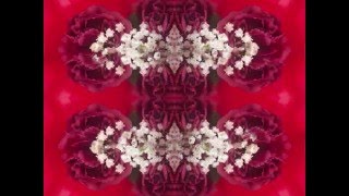 Mansion On The Hill (by Neil Young and Crazy Horse live in New York in &#39;97)