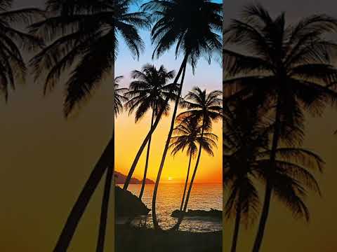 Elle avait 17 ans - Pitate MamaO 🇵🇫🎉❤️