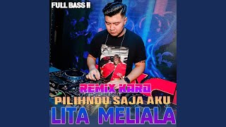 Download lagu PILIHNDU SAJA AKU mp3