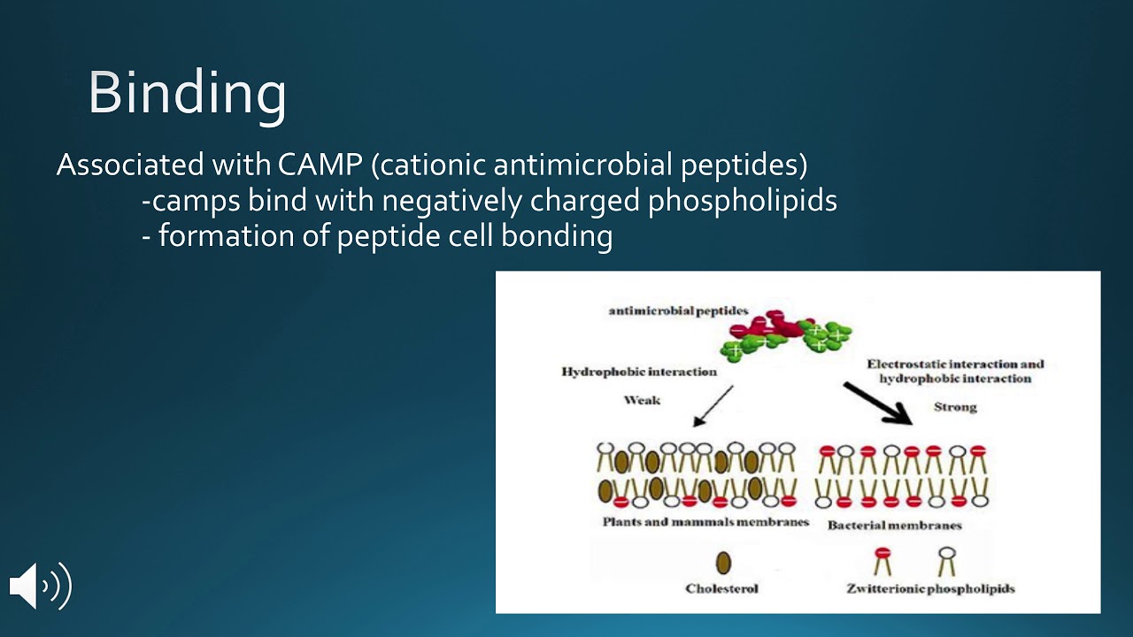 antimicrobial peptides group #9