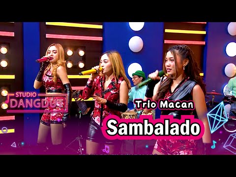 Pengen Ikutan Goyang Bareng Trio Macan Gara-gara Lagu "Sambalado" | STUDIO DANGDUT