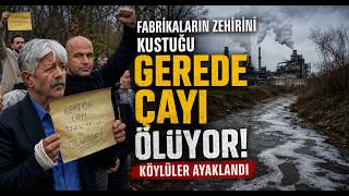 Fabrikaların Zehrini Kustuğu Gerede Çayı Ölüyor Köylüler Ayaklandı