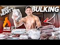 Starting My First “BULK” || BEEF HEART for Gains?!