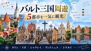 【バルト三国5都市旅】タリン・リガ・シャウレイ・ヴィリニュス・トラカイを巡る5日間🇪🇪🇱🇻🇱🇹