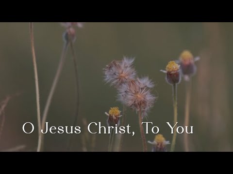 364 SDA Hymnal - O Jesus Christ, To You (Singing w/ Lyrics)