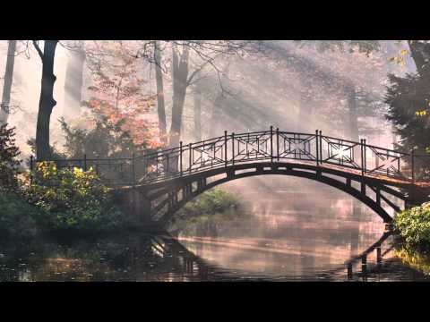 Fons Vandervorst on piano - I Can't Make You Love Me