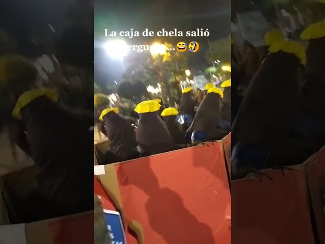 Vídeo relacionado con Fun Shack Disfraz Boxeador Hombre, Disfraces Deportista Adulto para Carnaval y Halloween, L