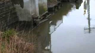 preview picture of video 'Edison Slough VBFG tide gate opening.wmv'