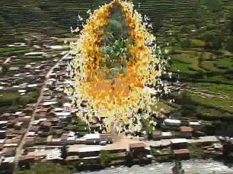 PICAROS DE LA JARANA -  VUELVE VUELVE MI AMOR