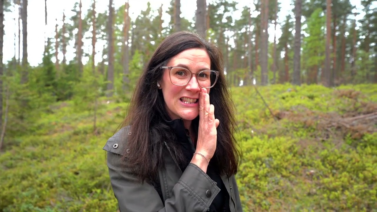 Tomt på Önnerud 140 Önnerud Karlstads kommun - video