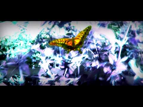 HD l Armin Prayd - Sunrise in Yiangza ( Video Cut ) - Synthetic Records