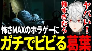 突然ホラゲーになるタルコフにガチで驚いて発狂する葛葉が面白過ぎたwww【にじさんじ/切り抜き/タルコフ/EFT】