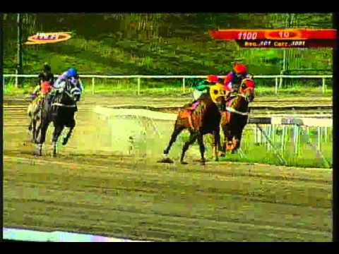 Resumen Domingo, 28 de Diciembre de 2014 - La Rinconada