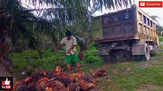 Download lagu Aku berjuang demi kowe mp3 Download lagu Aku berjuang demi kowe mp3