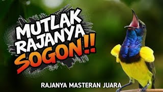 Download lagu Ternyata ini rajanya !! MASTERAN SOGON SEKALI NAFAS 5 MATERI ‼️ mp3