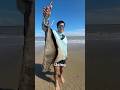 Using MASSIVE Bait At The Beach And This HAPPENED Part 1