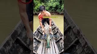 Download lagu UDANG MONSTER 😱 #mancing #udanggalah #udang mp3