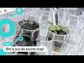 Gelukt! Plantjes groeien voor het eerst op maangrond
