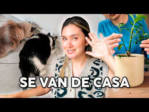 I had to say goodbye to them... they left my house 😓