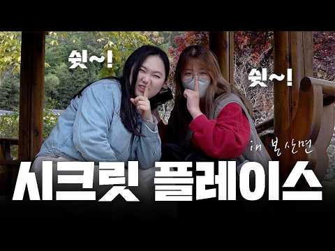 벚꽃 명소 11월에 소개하기