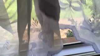 Código p1935 Ford Interpretación