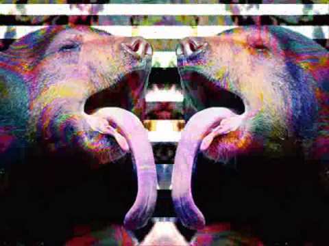 Slightly Stoopid - Killin' Me Deep Inside