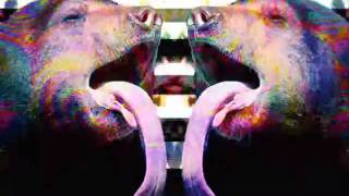 Slightly Stoopid- Killin Me Deep Inside