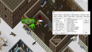 Ultima Online Forever: Taming Macro Tips (Razor)