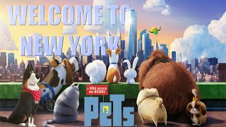 Download lagu PETS / Welcome to New York - Taylor Swift ( Video Musical ) mp3 Download lagu PETS / Welcome to New York - Taylor Swift ( Video Musical ) mp3