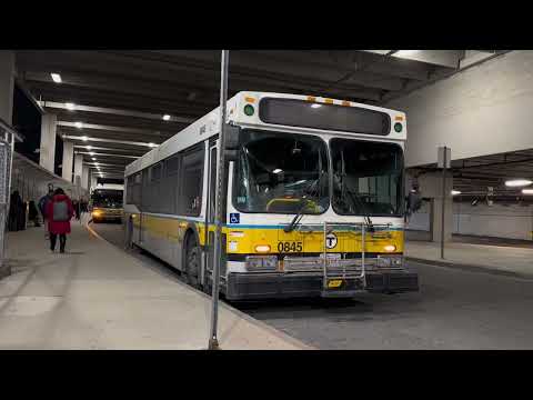 Yoshi & Alice: Neon Wonderland | Yoshi’s Ride Series {S55-E03} - Riding the 426 🚌 - {MBTA}