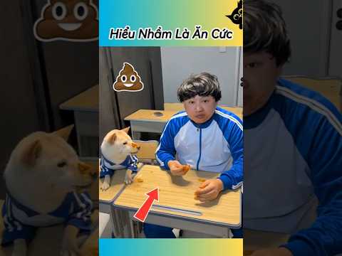 🤣 Học Sinh Oan Ức Vì Hiểu Nhầm Khó Đỡ 📚 #thúcưng #vậtnuôi #chómèohàihước #funny #pets #cat #cute