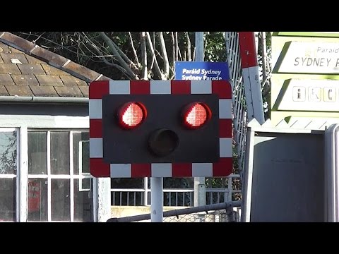 Railway Crossing - Sydney Parade, Dublin - 2 x IE 8300 Class Dart Trains