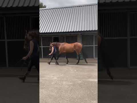 Video 1