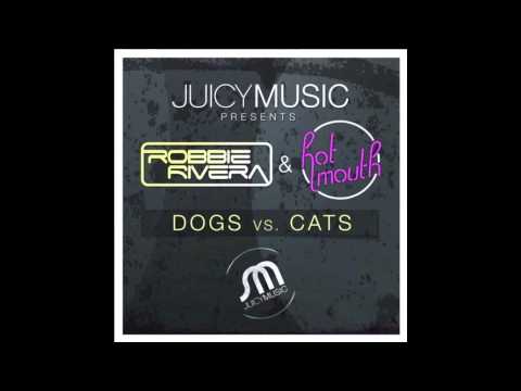 Robbie Rivera & Hot Mouth - Dogs vs  Cats Original Mix)