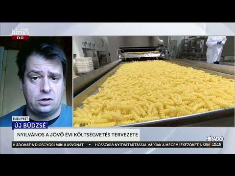 Nyilvános a jövő évi költségvetés tervezete - HírTV
