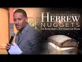 Hebrew Nugget - The Rothchilds The Ashkenazi Heads