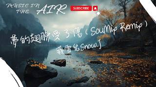 Download lagu 蔣雪兒Snow.J - 夢的翅膀受了傷（SouMix Remix）『一滴一滴刺痛我的心 夢的翅膀已經受了傷』【動態歌詞】 mp3