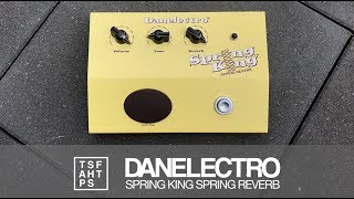 Amazon.com: Danelectro DSR-1 Spring King Reverb : Musical