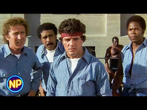 Learning the Prison Rules | Stir Crazy (1980) | Now Playing