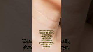 Download lagu wanita Leher bergaris dua atau tiga artinya #mitosataufakta mp3 Download lagu wanita Leher bergaris dua atau tiga artinya #mitosataufakta mp3